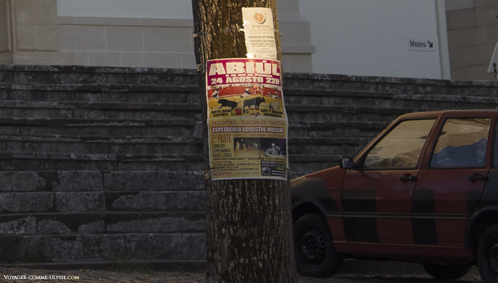 Affiche sur une arbre