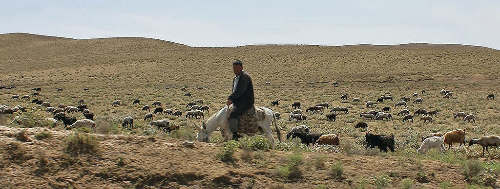 Village ouzbèk : vivre à la campagne en Ouzbékistan