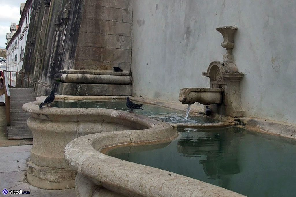 Entre la façade du dortoir et le réfectoire se trouve une fontaine, où les pigeons aiment venir se désaltérer.