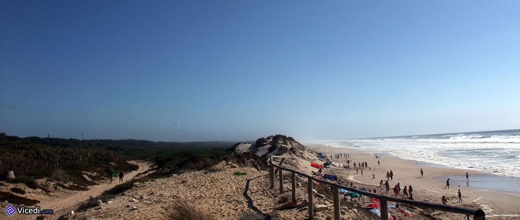 Plage et Pinède
