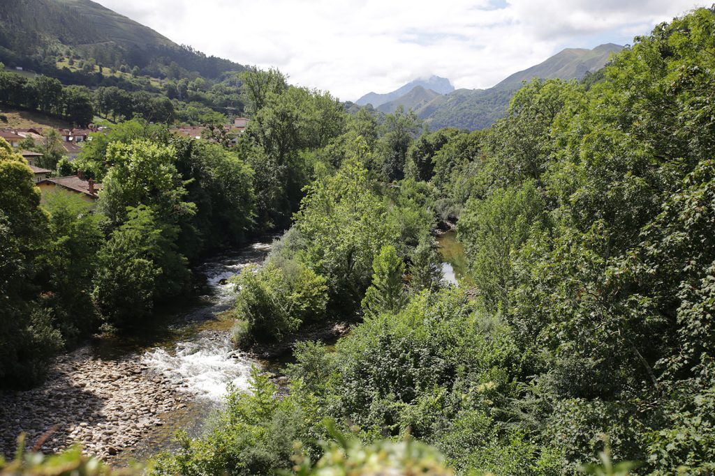 Rivière dévalant les montagnes.
